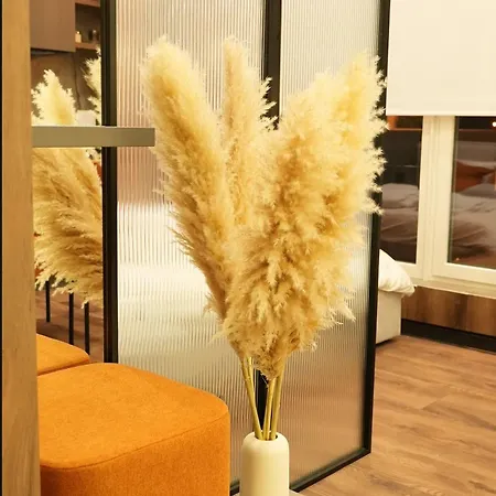 Skyspa - з джакузі на терасі з видом на печерськ Апарт-отель